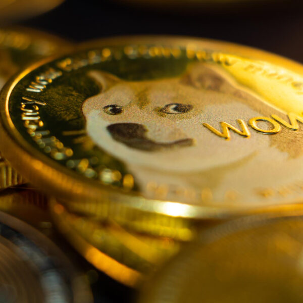 Meme Coins Captivate Investors in 2025: BONK, DOGE, and LILPEPE Lead the Charge