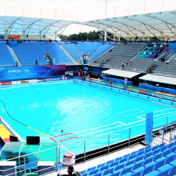 World Aquatics Championships